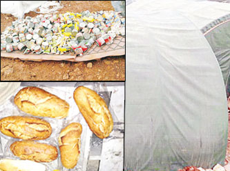 Burası Afrika'daki bir mülteci kampı değil