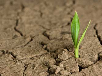'Hamallığa râzı olun ve dünyaya dağılın'