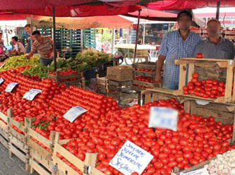 'Domatesi, biberi taneyle satacak hale geldik'