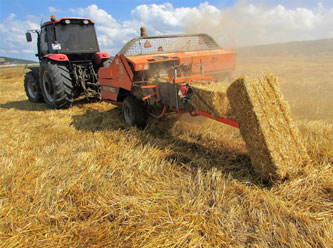 Saman fiyatı bu yıl iki katına çıktı