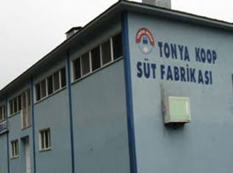 Tereyağının başkentinde iflas şoku