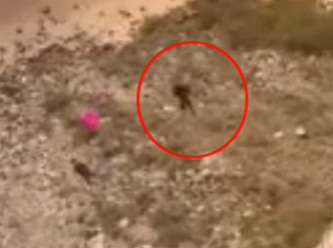 Korkunç ölüm! Paraşütü açılmayan turist yere çakıldı