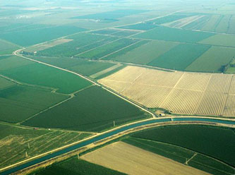 "172 binden fazla çiftçi tarım Bağ-Kur primlerini ödeyemedi"
