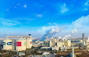 Torku'da büyük skandal: 100 tondan fazla ürün liyakatsiz atama sebebiyle çöpe gidecek