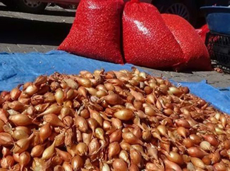 Tohumluk soğanın fiyatı 25 lira oldu: 35 liraya kadar çıkabilir...
