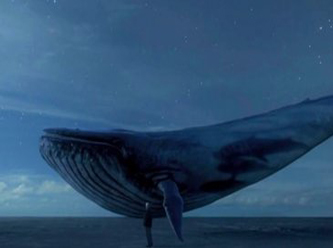 TBMM Araştırma Komisyonu'ndan 'Mavi Balina' açıklaması