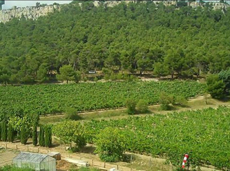 Skandal Atatürk Orman Çiftliği raporu