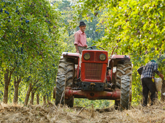 Covid-19 krizi Avrupa'da göçmen işçi gerilimini körüklüyor