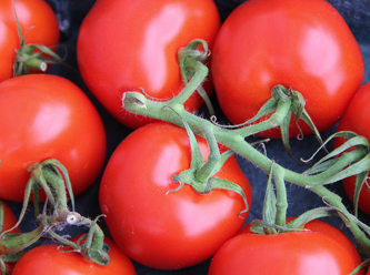 Rusya'dan dikkat çeken Türk domatesi açıklaması