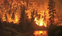 Ormanlar rant için mi yakılıyor?