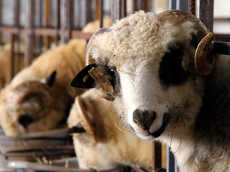 Tarım Bakanlığı'nda skandal