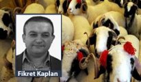 [Fikret kaplan yazdı] İlahi Dergâh’ın kapısına dokunmadır kurban