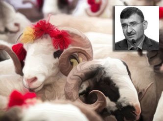 Kurbandan Akla Takılanlar