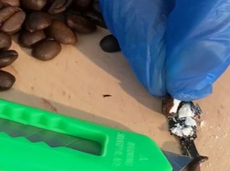 Kahve çekirdeklerinin içinden saf kokain çıktı