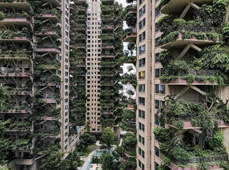 Yeşil apartman projesi kâbusa döndü!