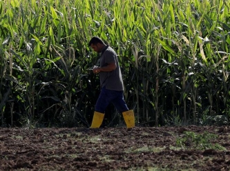 Çiftçiler isyan etti