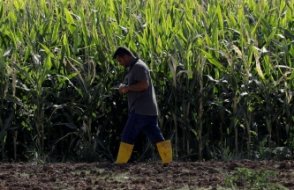 Çiftçiler isyan etti