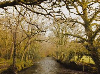 Türkiye için 'iklim kanunu' hazırlanıyor