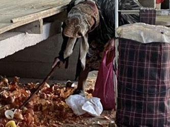 Reuters'tan seçim sonrası için şok analiz!