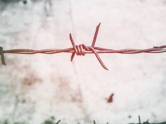 Rusya yönetiminden Litvanya, Estonya ve Letonya ile ilgili yeni karar