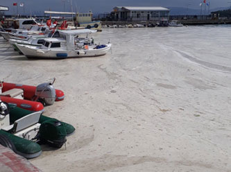 Tüm Marmara, Ege Denizi, kanallar ve derelere yayıldı!