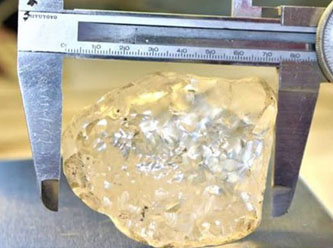 Dünyanın "üçüncü en büyük elması" bulundu