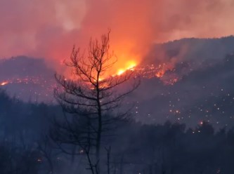 AFAD'dan orman yangınlarıyla ilgili açıklama