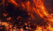 İspanya’da yüksek sıcaklıklar nedeniyle ‘yangın’ alarmı verildi