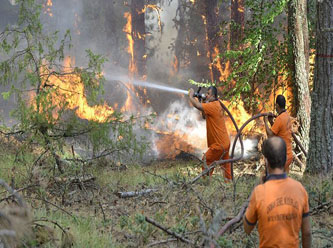Orman yangınlarında son durum: Muğla'da 5 yangın sürüyor