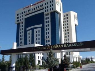 Orman Bakanlığı'nda yolsuzluk ve rüşvet soruşturması