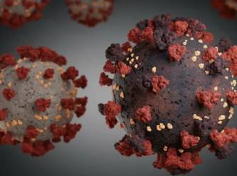 Omicron varyantı nasıl ortaya çıktı?