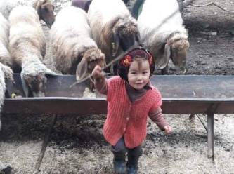 3 yaşındaki Müslüme'nin öldürülmesi ile ilgili yeni skandal