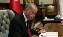 Erdoğan sicili skandallarla dolu başkana vekillik için onay verdi