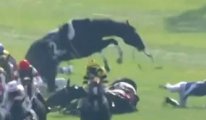 Yarışta korkunç kaza: 2 at öldü, 3 jokey yaralandı
