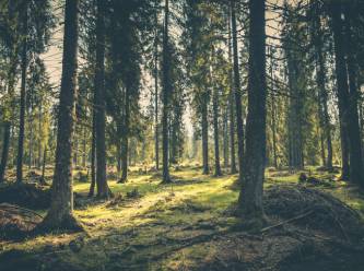 Milli Eğtim Bakanlığı'ndan iptal kararı