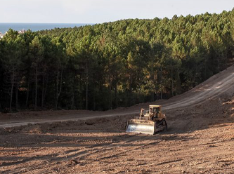 Erdoğan, çölleşen Türkiye'nin 109 hektar alanını daha orman vasfından çıkardı