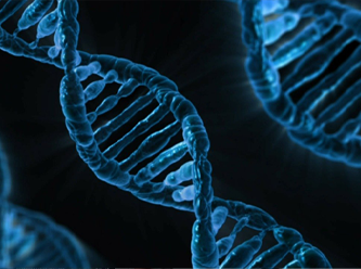 DNA’da görüntü depolayan ‘biyolojik kamera’ geliştirildi