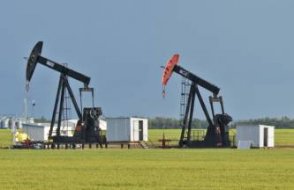 Rusya'nın başka bir rekor petrol ihracatı Hindistan’a gerçekleşti