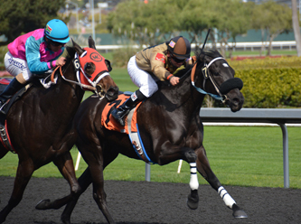 Yarış atları Erdoğan için koşacak: Hasılat TVF'ye