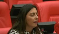 Nurhayat Altaca Kayışoğlu’ndan Meclis’te şarkılı protesto