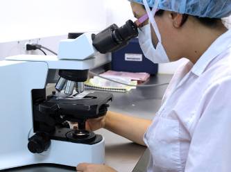 Avrupalı araştırmacılar Çin ordusuna yardım mı ediyor?