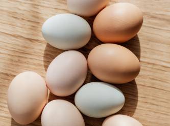 Yumurta üreticileriyle ilgili soruşturma başlatıldı