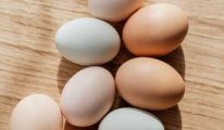 Yumurta üreticileriyle ilgili soruşturma başlatıldı
