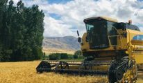 Rusya'nın Ukrayna'dan buğday çaldığı iddiaları güçleniyor