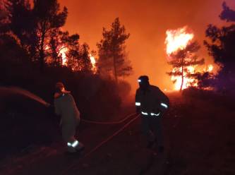 Bursa'nın ormanlarını benzin dökerek yakmışlar
