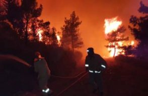 Bursa'nın ormanlarını benzin dökerek yakmışlar