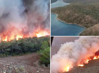 4 günde 4 bin 813 futbol sahası büyüklüğünde alan yandı