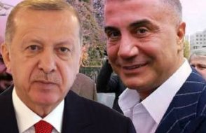 'Sedat Peker, Erdoğan’la bizim anlayamadığımız bir dille iletişim sağlıyor'
