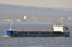 Ukrayna: Türkiye’ye ulaşan tahıl yüklü Rus gemisine el koyun