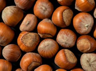 Fındıkta Erdoğan'ın dediği olmadı